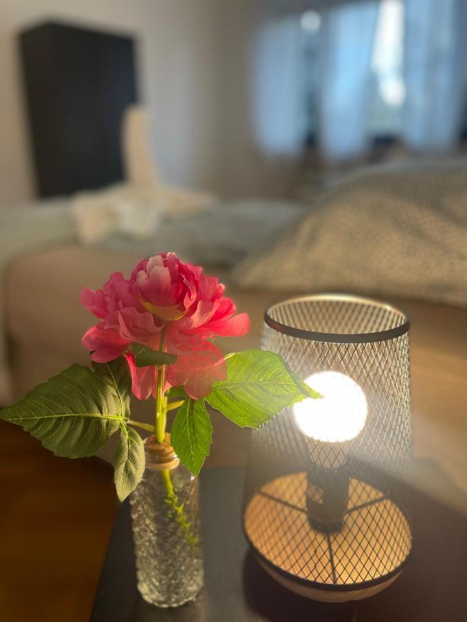 Comfortable Shared Apartment With Private Room In ヴェッセリンク エクステリア 写真